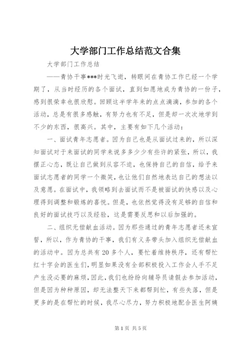 大学部门工作总结范文合集.docx