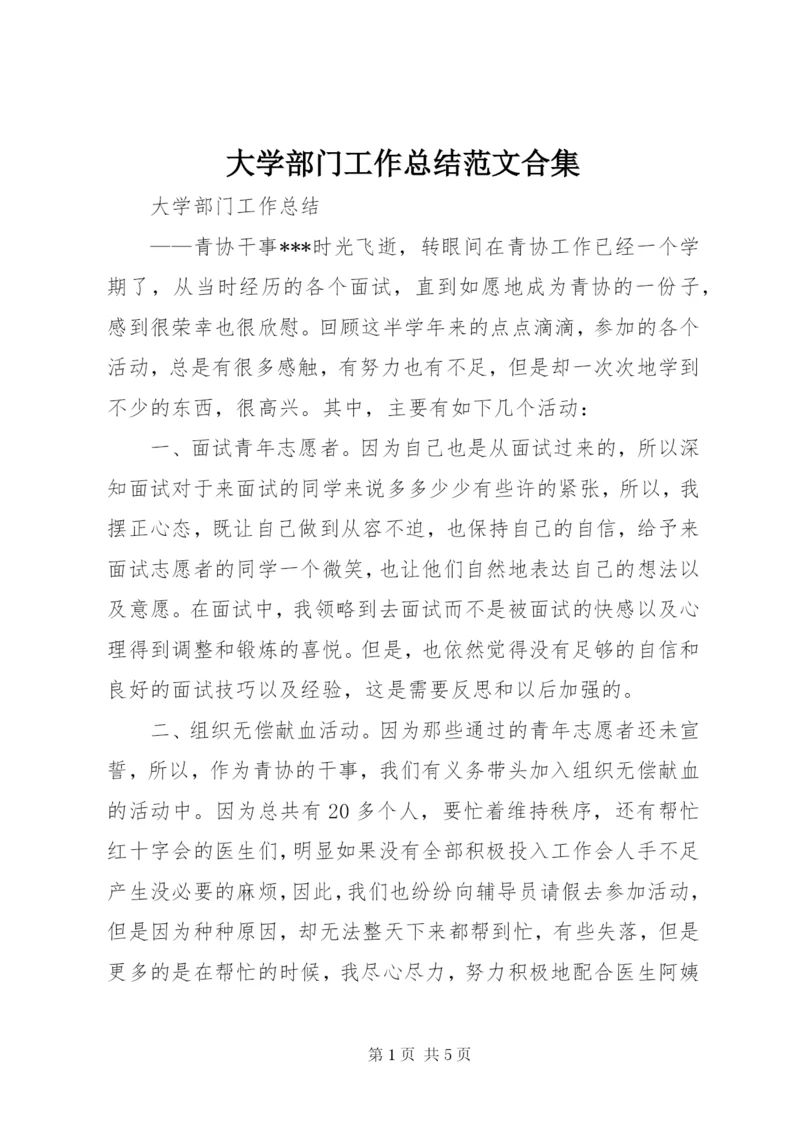 大学部门工作总结范文合集.docx