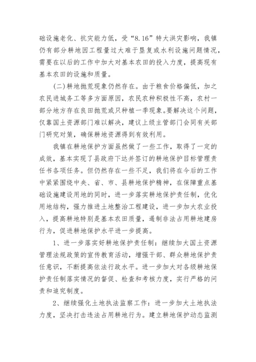 耕地保护责任目标自查报告.docx