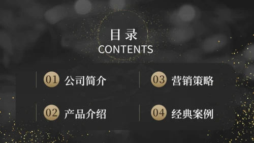奢华珠宝首饰品牌宣传通用PPT模板