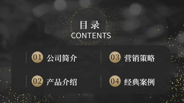 奢华珠宝首饰品牌宣传通用PPT模板