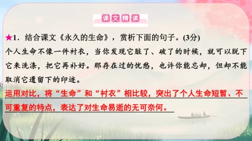 16《散文二篇》课件