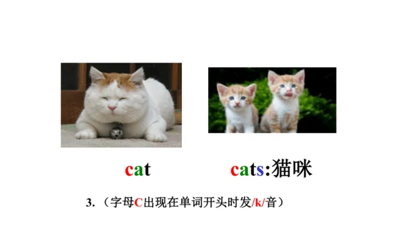 人教精通版小学英语三年级上册同步课件（共117张PPT)