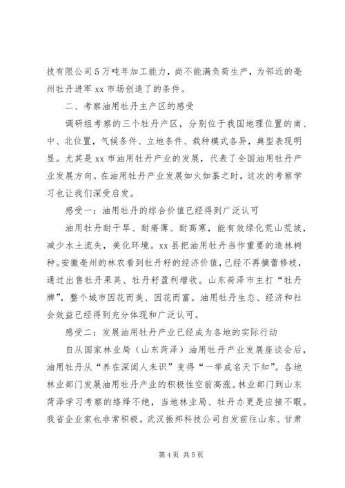 赴湖南邵阳安徽亳州油用牡丹产业发展情况考察报告.docx