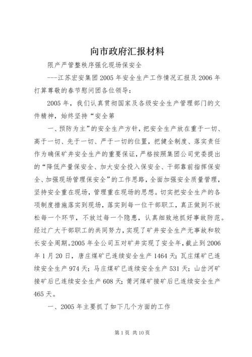 向市政府汇报材料 (2).docx