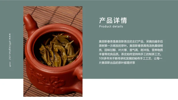 蓝灰简约风春茶产品介绍宣传手册