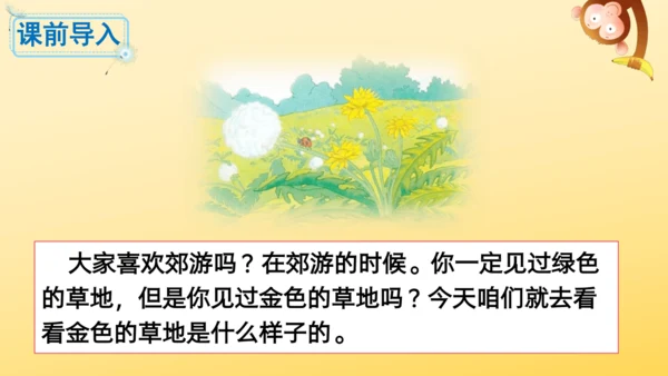 16 金色的草地  课件