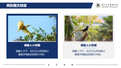 厦门大学嘉庚学院论文答辩通用ppt模板
