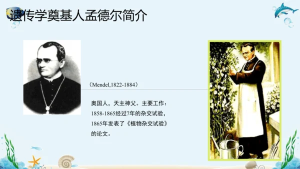人教版八年级下册生物复习课件