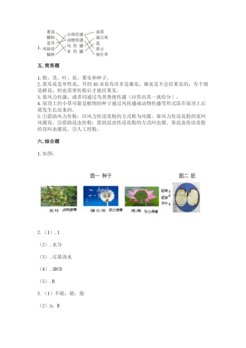 教科版四年级下册科学第一单元《植物的生长变化》测试卷及答案（新）.docx