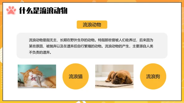 关爱流浪动物PPT模板