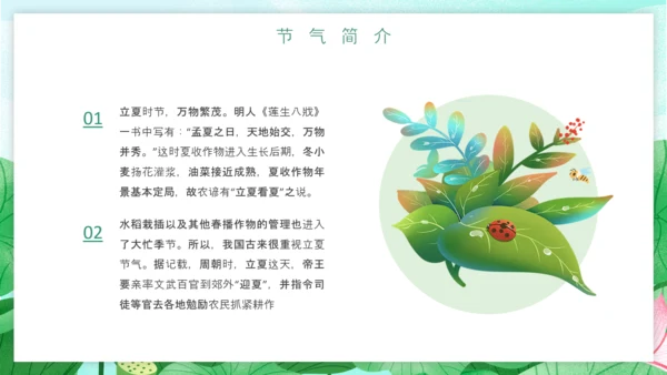 立夏习俗文化荷花池避暑PPT模板