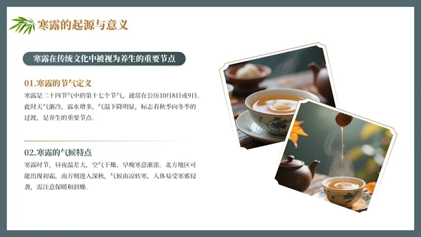 茶蓝色中国风寒露养生节气介绍PPT模板