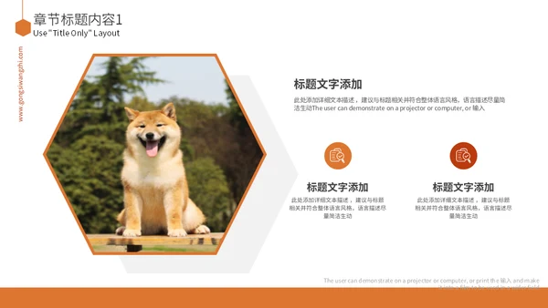 宠物乐园萌宠狗狗主题通用PPT模板