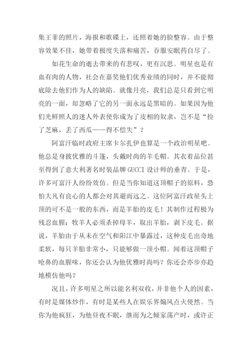 小议追星议论文.docx
