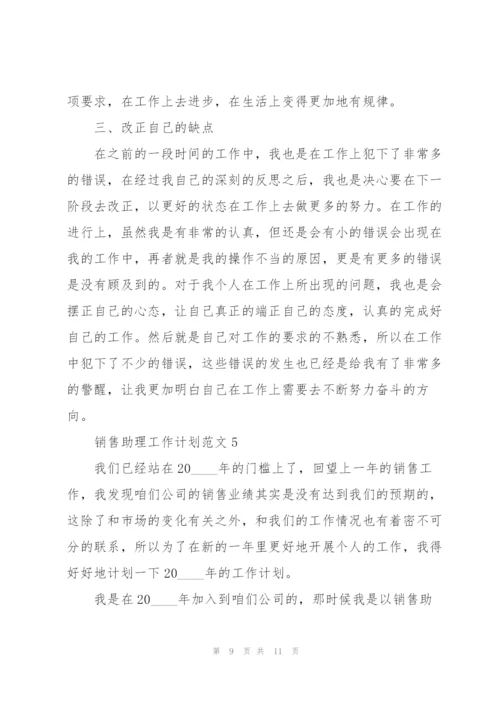 销售助理工作计划范文.docx