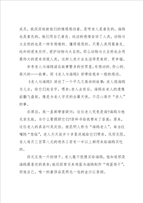 老人与海鸥读后心得600字