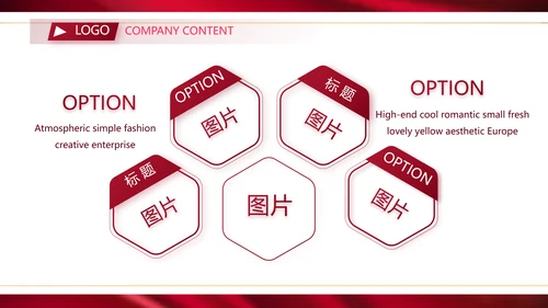 高端公司品牌产品介绍策划方案工作总结PPT