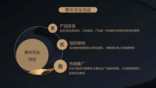 高端融资产品PPT计划书