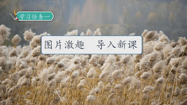 【核心素养】部编版语文四年级下册-21.芦花鞋（课件）