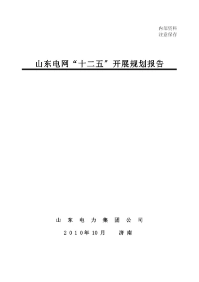 电网十二五发展规划报告.docx