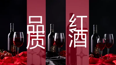 高端奢华红酒艺术画册洋酒葡萄酒红酒文化PPT模板