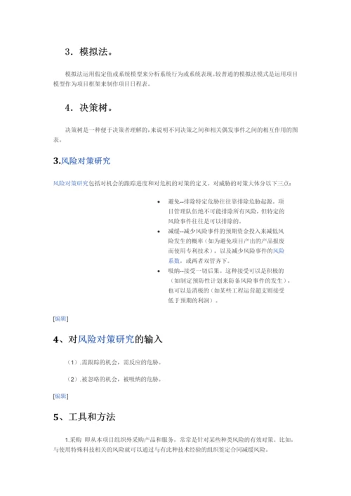 项目风险管理.docx