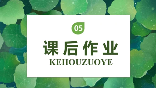 【核心素养】部编版语文一年级下册-12. 荷叶圆圆 第1课时（课件）