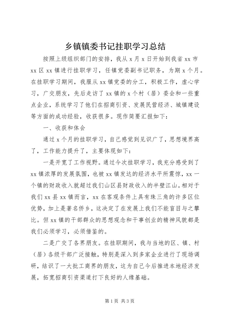 乡镇镇委书记挂职学习总结.docx