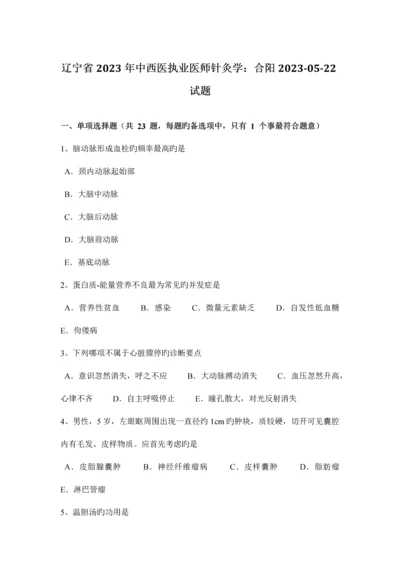 2023年辽宁省中西医执业医师针灸学合阳0522试题.docx