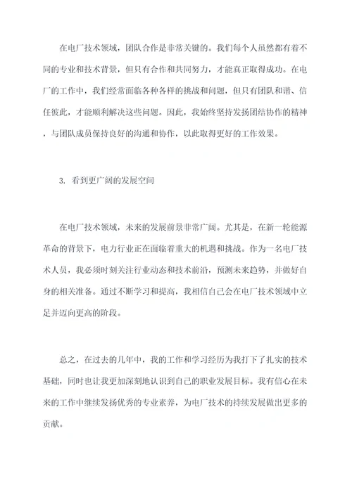 电厂技术能手个人总结