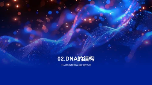 DNA结构与功能