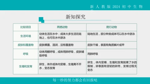 人教版生物七年级上册2.2.2《脊椎动物》（第1课时）课件(共42张PPT)+视频素材