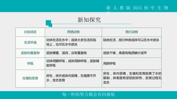 人教版生物七年级上册2.2.2《脊椎动物》（第1课时）课件(共42张PPT)+视频素材