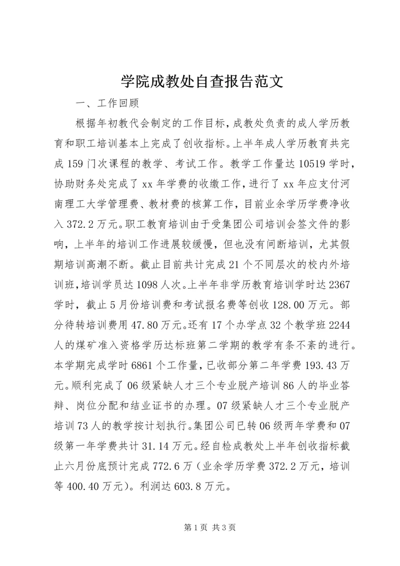 学院成教处自查报告范文精编.docx