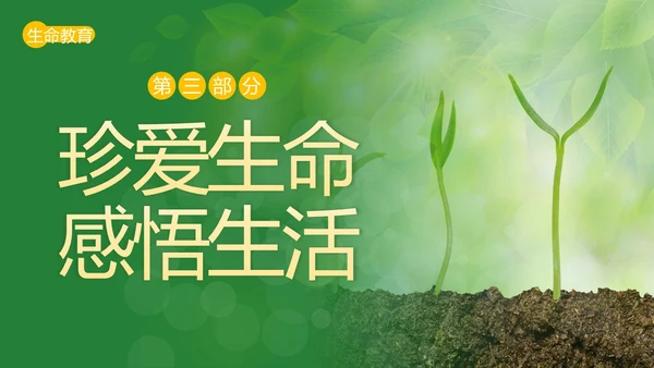 2023年生命教育认识生命珍爱生命安全教育主题班会PPT课件