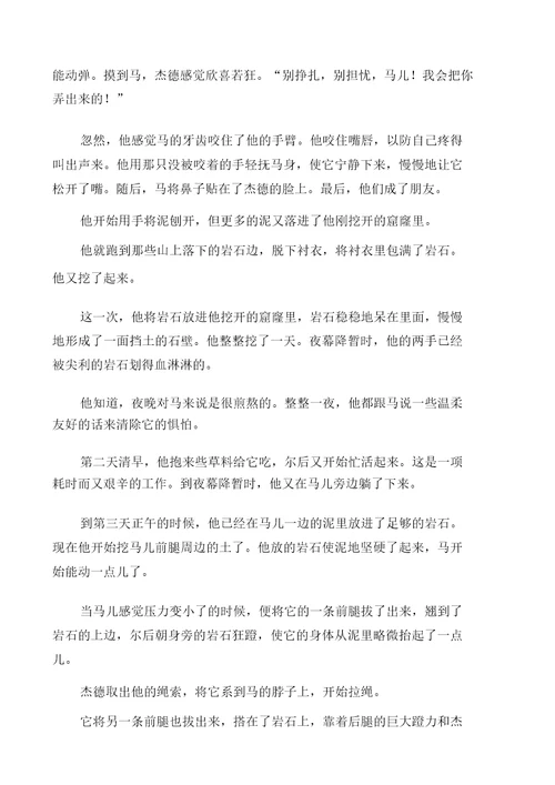 黑骏马阅读答案2