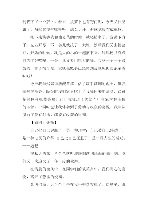 采撷作文00.docx
