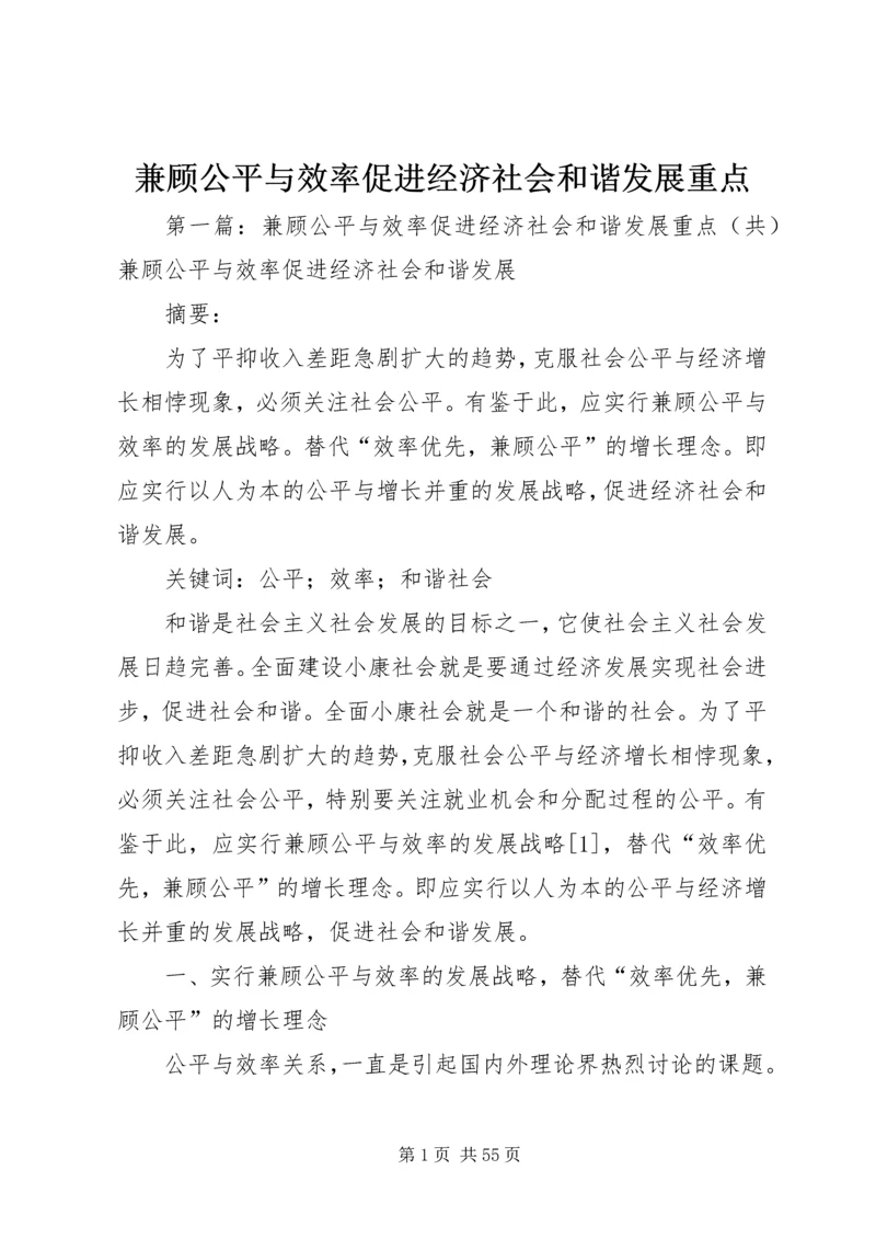 兼顾公平与效率促进经济社会和谐发展重点.docx