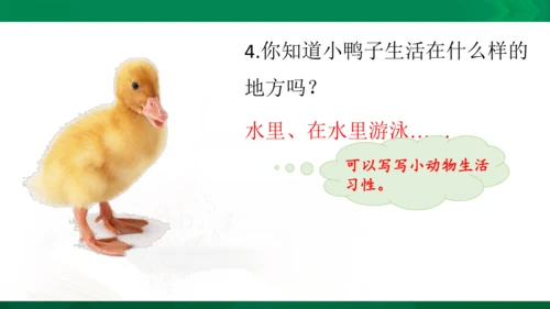 部编版二年级语文看图写话写动物课件
