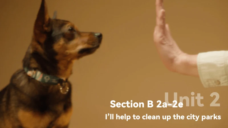 Unit2 Section B 2a-2e 课件 新目标八下Unit 2 I'll help to 