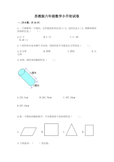 苏教版六年级数学小升初试卷含完整答案【典优】.docx