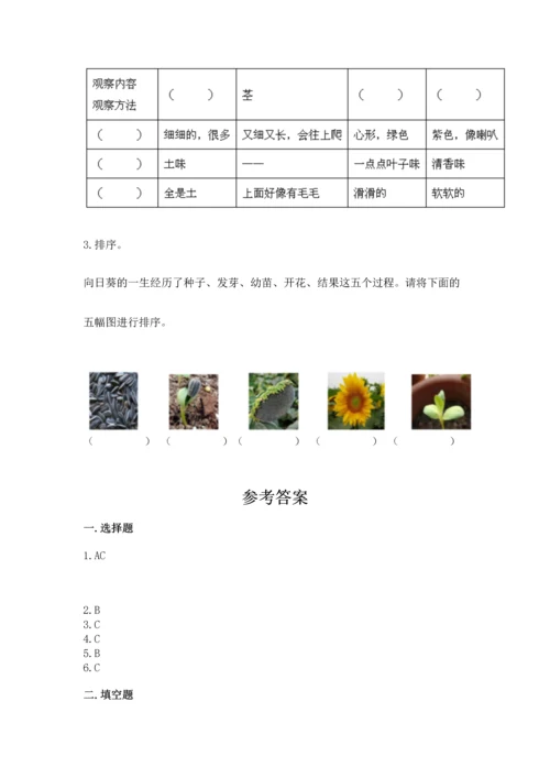 教科版科学一年级上册第一单元《植物》测试卷附参考答案【完整版】.docx