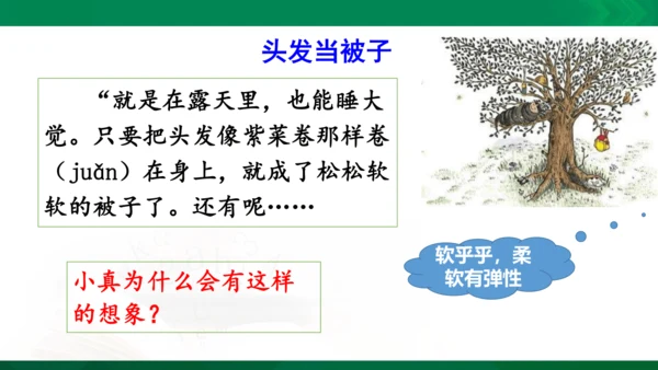 部编版三下语文第五单元第16课小真的长头发课件
