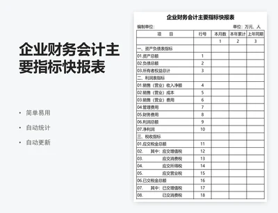 企业财务会计主要指标快报表