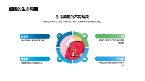 细胞生命之谜