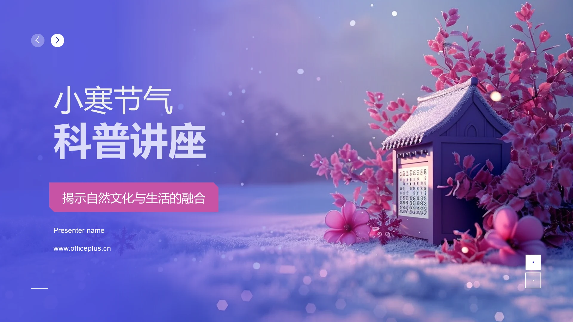 小寒节气科普讲座PPT模板