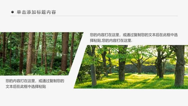 绿色森林湿地环境保护生态森林森业PPT模板