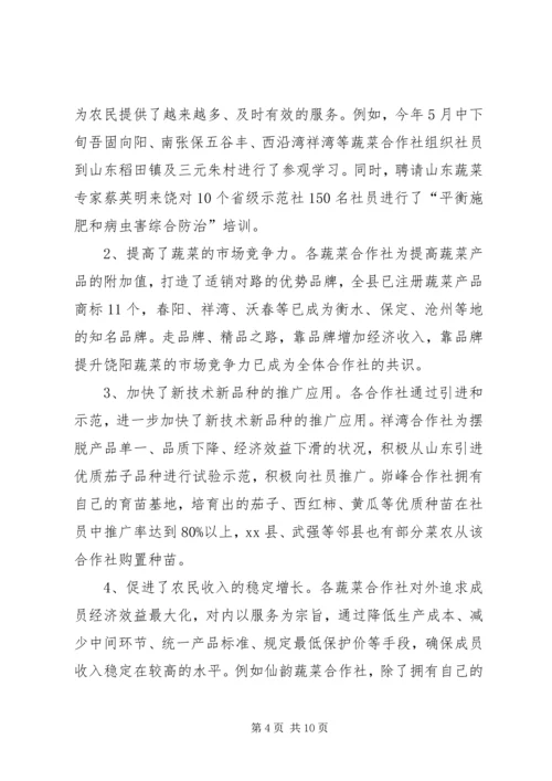 县蔬菜专业合作社调研报告.docx