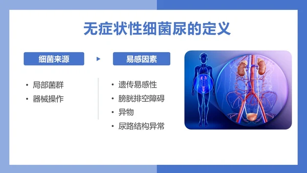 医疗风医疗泌尿系感染PPT模板